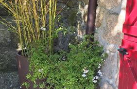 A CASA DO BUXO - Foto 49