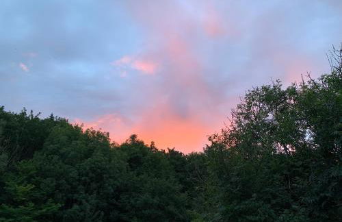 Teviot Lodge - Sleeps 6 - Pets - River Views - Foto 18