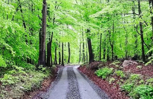 The Log House at Sugarloaf Mountain MD - Foto 4