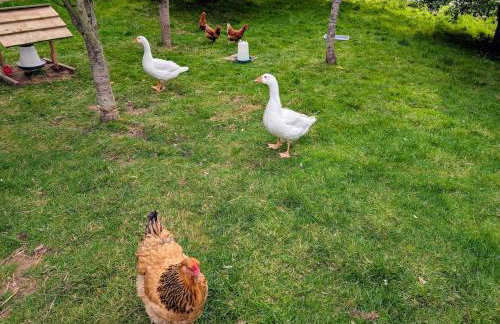 The Piggery, located at the foot of the Malvern's - Foto 10