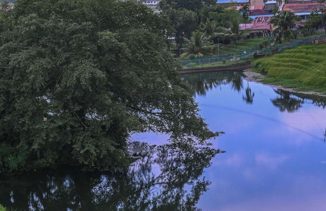 Kanchan's Nest Homestay - Foto 36