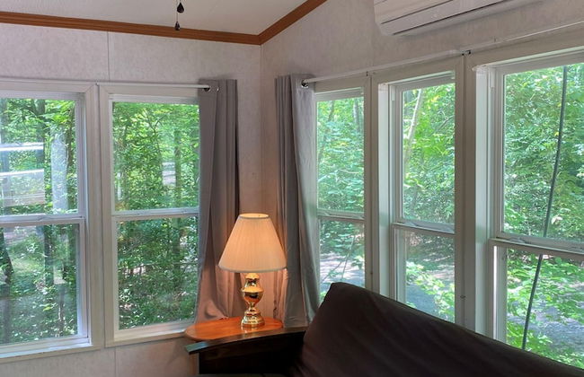 The Vintage Rv's at Wilderness Presidential by Tripforth - Foto 10