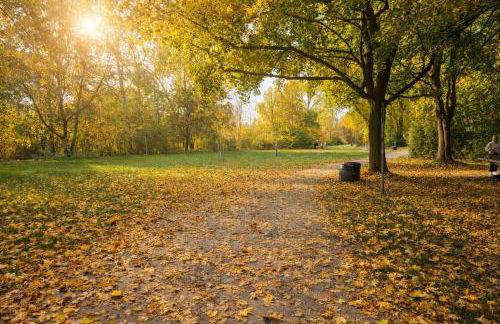 Quiet & Modern Studio near Tram & River Lech - Foto 11