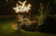 Ferienhaus Schatz - Photo 19