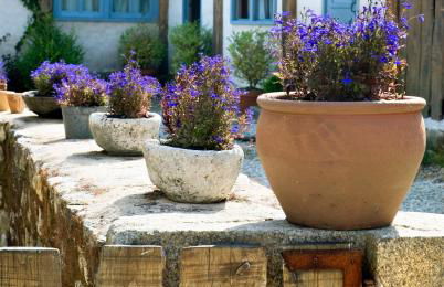 Casa do Castelo de Andrade - Photo 72