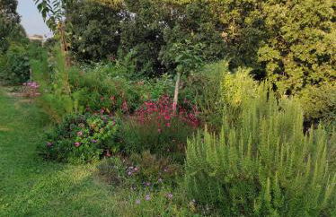 Agriturismo Asara - Foto 19