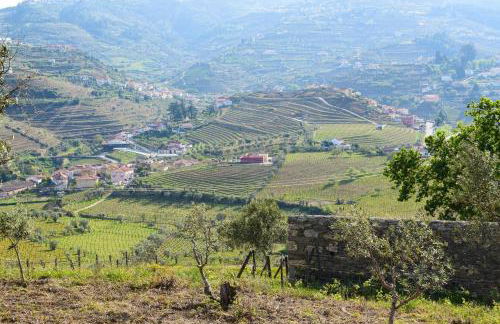 Quinta dos Padrinhos - Suites in the Heart of the Douro - Foto 15