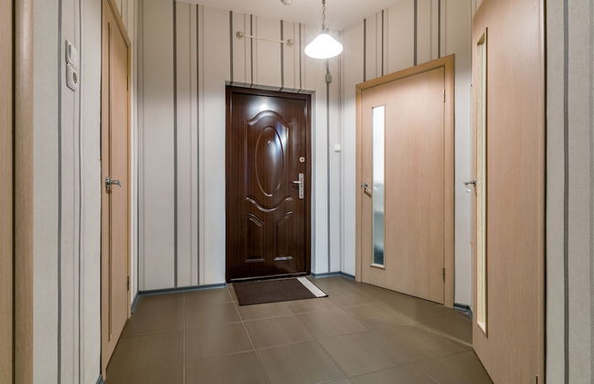 One Bedroom Great View Apartment near Gazprom Arena, UEFA 2022 - Foto 25