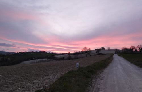 CASAL DEL SOLE - Il Gelso - Foto 6