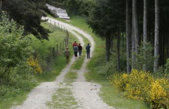 La maison d'Anastasie - Foto 13