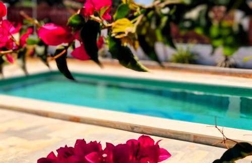 Olas de Conil - Foto 20