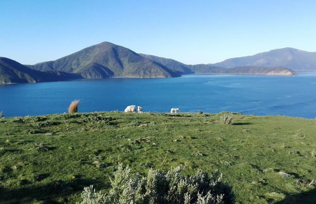 The Lodge At Te Rawa - Boat Access Only - Foto 45