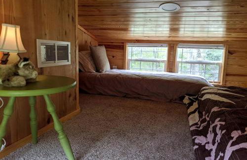 Rustic Cabin Rental near Asheville Perfect for a Weekend Getaway on Tuckasegee River - Foto 7