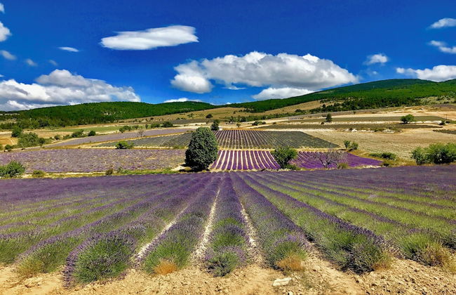Résidence Château Ferrassières - Foto 69