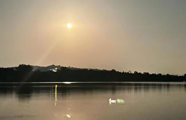 Simona Francshouse - Foto 13