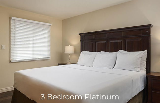 Enzian - CoralTree Residence Collection - Photo 53