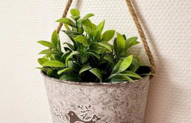 L'écrin des Forges maison cosy 1 à 6 voyageurs - Photo 32