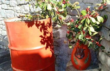 Alexadras Guesthouse - Photo 33