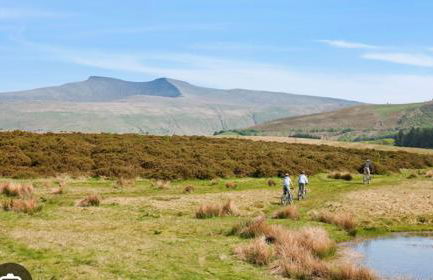 Glanyrafon Cottage - Foto 9