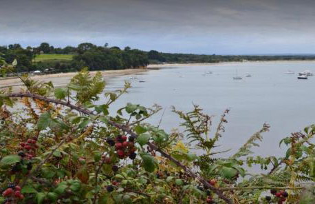 Poppy at Oakdene Forest Park - Foto 79