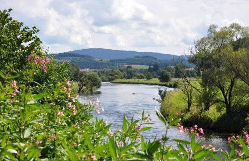 Ferienwohnung Regentalblick - Photo 32