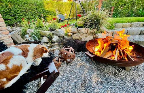 neu ab Juli - Einzigartiges Loft am Seerosenteich - Foto 27