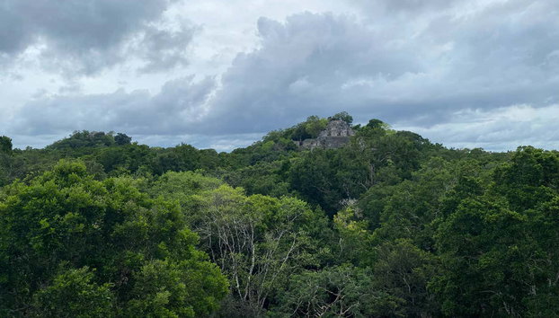 Calakmul Day Trip - Photo 3, Dive into the jungle!