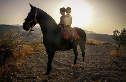 Cortijo Rica - Foto 29