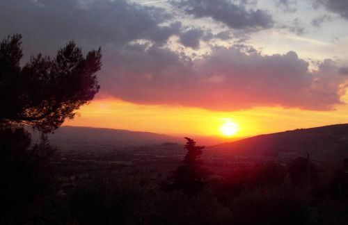 Azienda Agrituristica Il Moraiolo - Photo 34