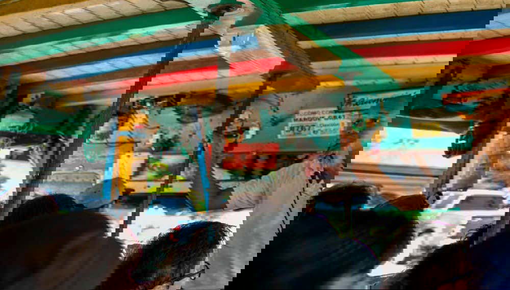 Free Chiva Tour of Medellin - Foto 1