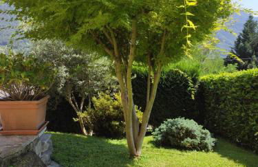 Casa Vacanza il Glicine - Foto 15