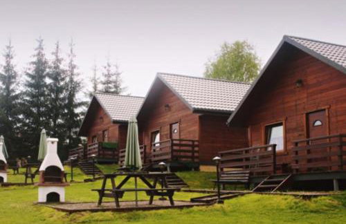 Domki u Bejdaka 789- 039 - 689 WYRUSZ Z GOSPODARZEM ŚLADAMI NIEISTNIEJĄCYCH WSI - Foto 22