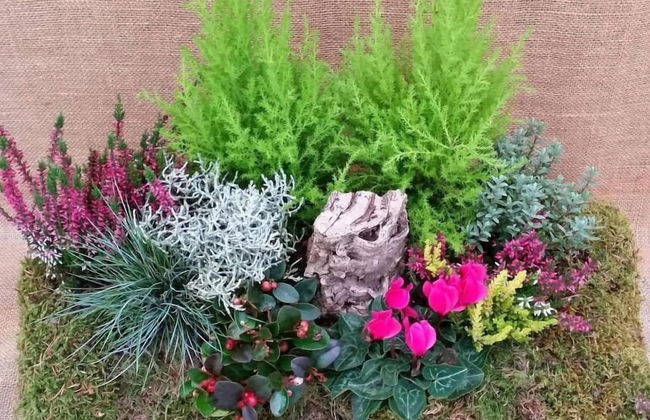 Masetto Egidio Agritur - Foto 50