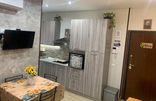 Girasole Marino - Foto 5