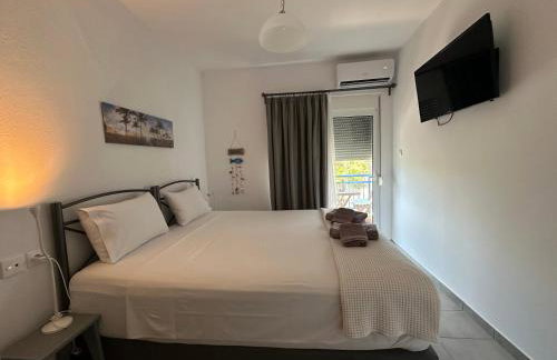 TORONI ALPHA STUDIOS - Foto 10