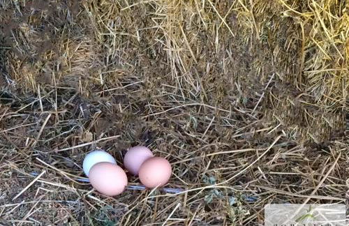 Agriturismo Vulcano - Foto 104