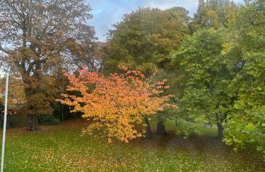 Park View is a beautiful whole entire house close to town centre, sleeps 8 in 4 rooms, 2 doubles and 4 single beds with 2 shower rooms, available for holidays, insurance stays, trades people, contractors, pets welcome - Foto 51