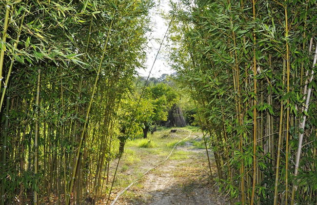 Holiday Home in Lido di Noto Near Beach - Foto 15