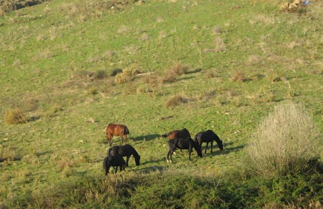 Le Murelle Country Resort - Photo 22