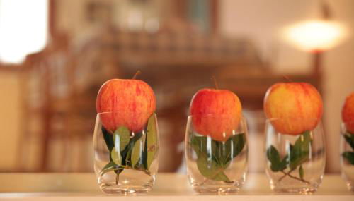 CASA GIULIA a Borso del Grappa - Photo 3