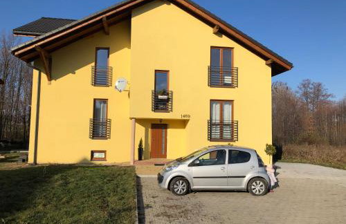 Villa Greta&Beskidy - Foto 9