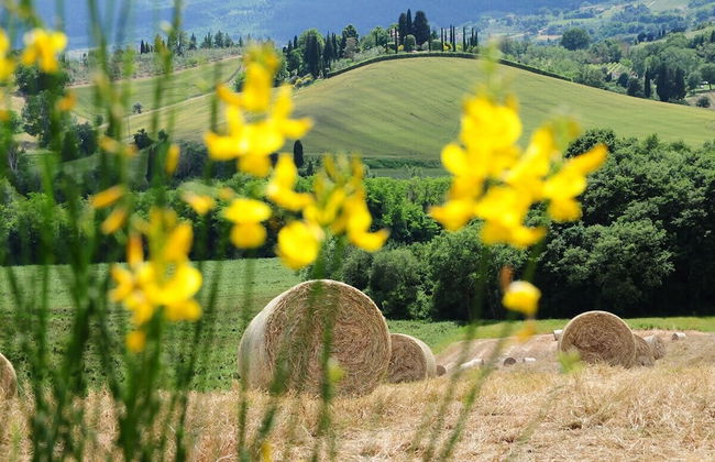 Agriturismo Palazzo Bello - Foto 69