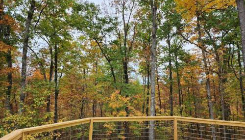 Baca Cabin Near Compton, Ponca, Buffalo River, Trails - Foto 5