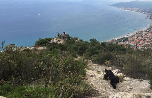 Crosa tra le Nuvole - Foto 35