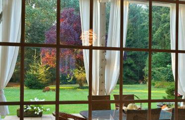 Szczodre Sybillenort blisko Wrocławia - Photo 42