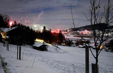 Haus Vogl Anger - Ferienwohnungen mit privater Sauna und beheizten Salzwasser Pool in Panoramalage und Nähe zu Salzburg und Berchtesgaden - Foto 47