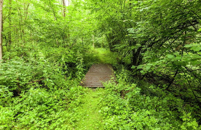 Cottage Near Durbuy Forest - Photo 31