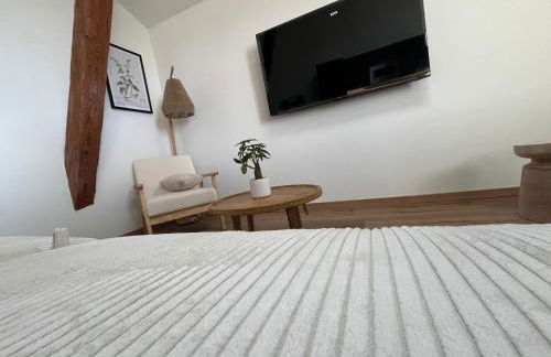 Louis XIII, Le Somail. - Foto 30