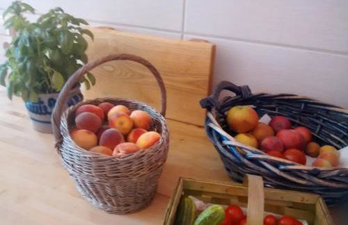 Herberge im "alten Pfarrhaus" in Schmergow am Havel-Radweg - Foto 15