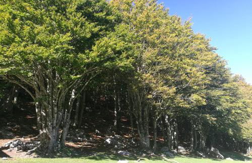 Agriturismo Demetra, b&b Demetra - Foto 33